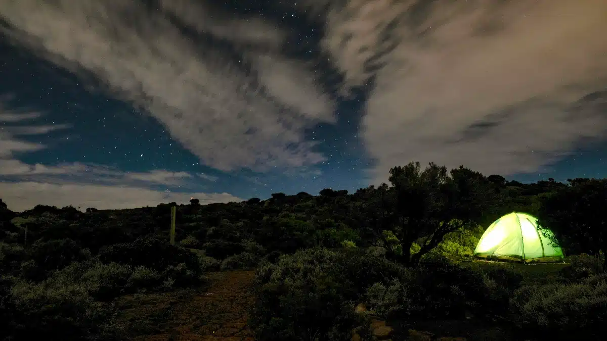 camping  nature