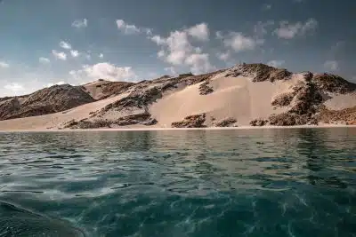 La biodiversité de l'île de Socotra