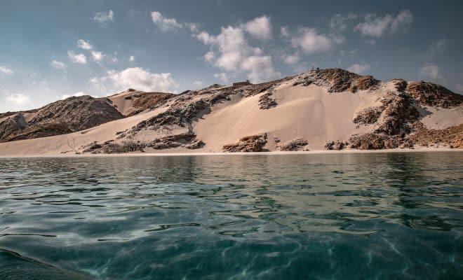 La biodiversité de l'île de Socotra